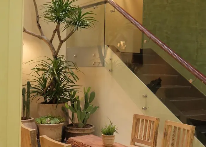 Aparthotel Lamhome Tuan Chau Island